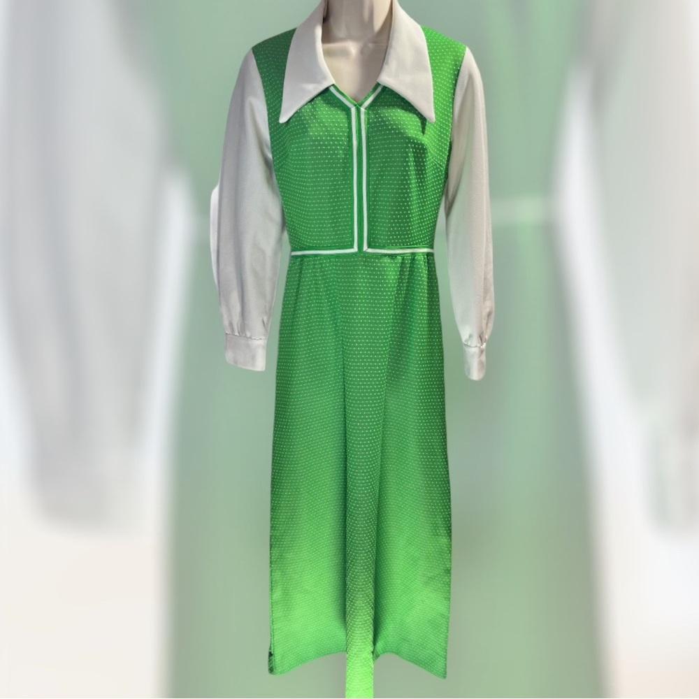 Vintage 1970’s Dagger Collar Maxi Dress